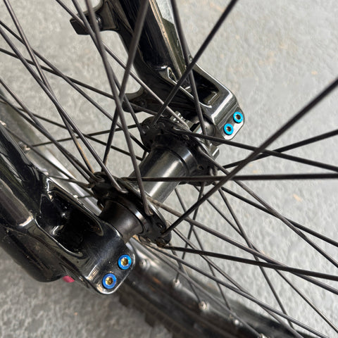 Titanium Fork Pinch Bolts